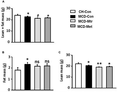 Matrine Protects Against MCD-Induced Development of NASH via Upregulating HSP72 and Downregulating mTOR in a Manner Distinctive From Metformin